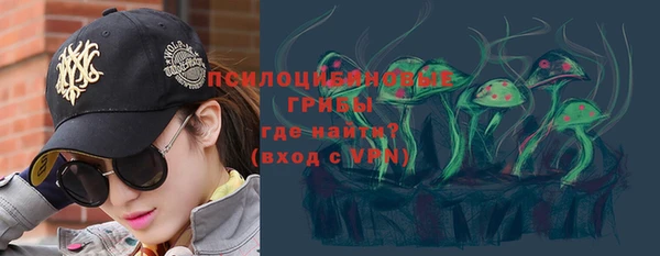 винт Бронницы