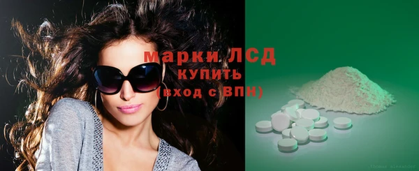 PSILOCYBIN Бородино