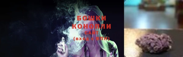 PSILOCYBIN Бородино