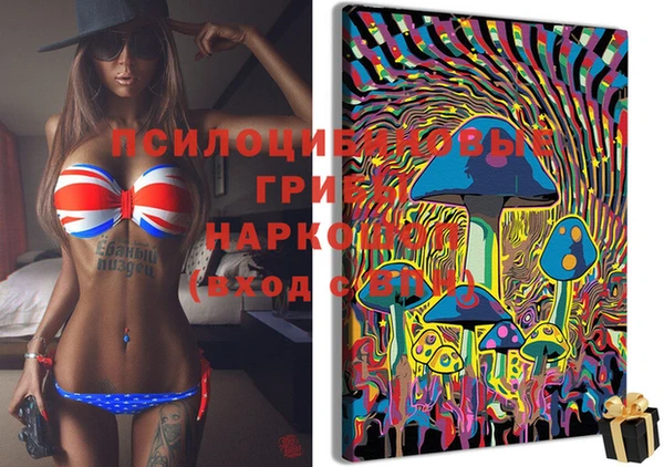 PSILOCYBIN Бородино