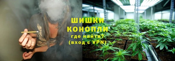 PSILOCYBIN Бородино