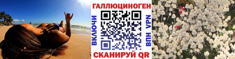 Псилоцибиновые грибы Cubensis  Кизляр 